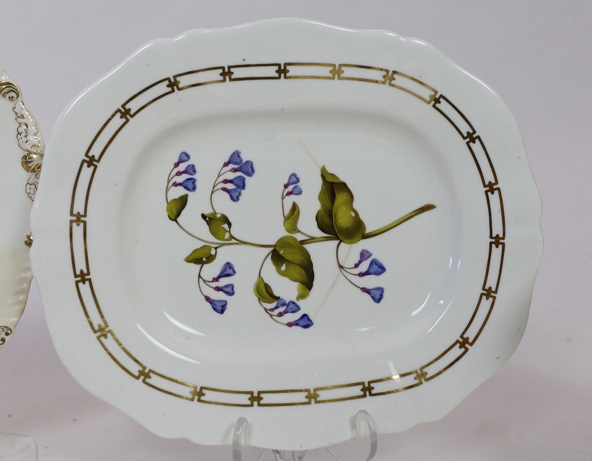 A rare Rockingham botanical specimen part breakfast service, griffin statant mark, c.1826, with some matching pieces, c.1830-5